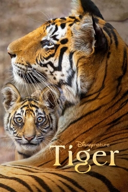 watch-Tiger